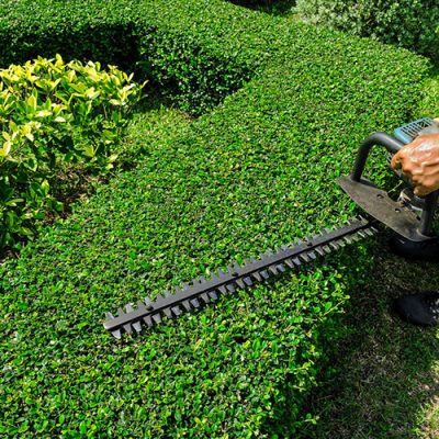 Hedge-Trimming