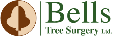 Bells Tree Surgery